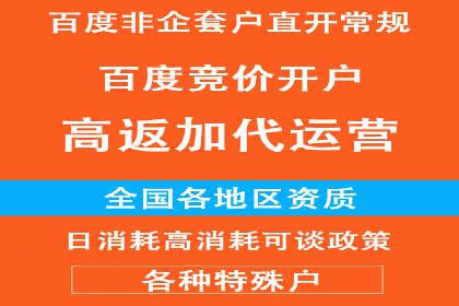 百度竞价包年案例揭秘：如何实现精准营销？